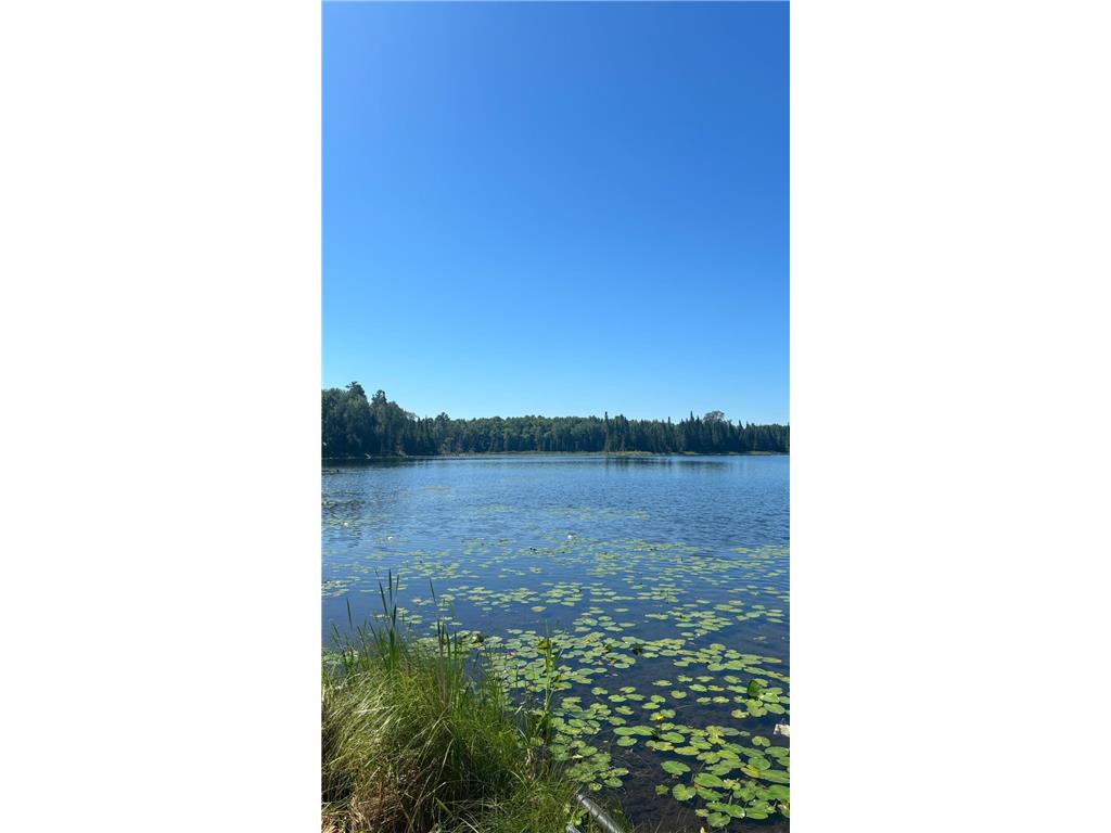 37363 Amen Lake Road Deer River MN 56636 - Crane 7100952 image5