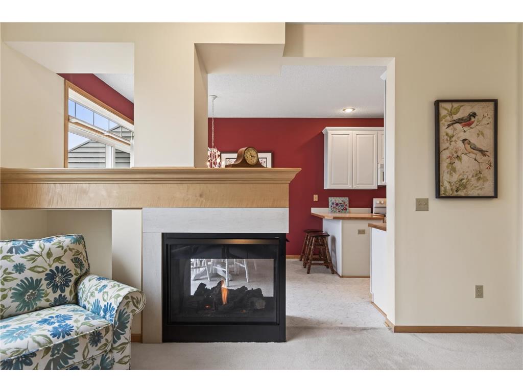 3739 Lawndale Lane N Plymouth MN 55446 7004683 image10