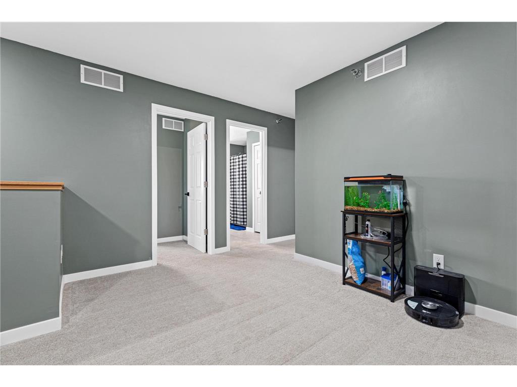 374 Frederick Circle Hastings MN 55033 7058476 image15