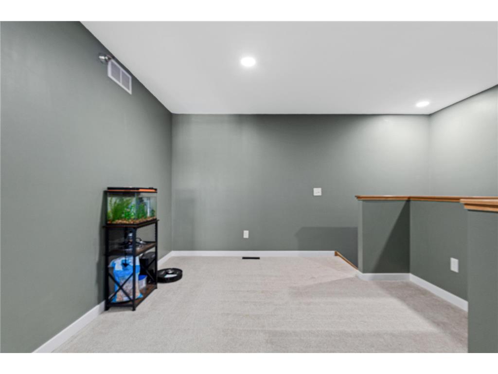 374 Frederick Circle Hastings MN 55033 7058476 image17