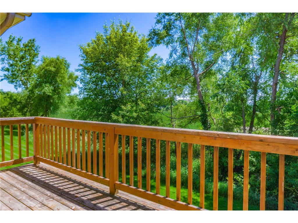 374 Meadow Lane Norwood Young America MN 55397 7108001 image43