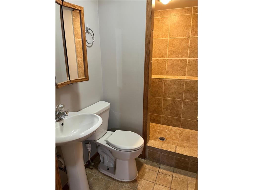 3741 225th Lane NW Saint Francis MN 55070 7086032 image22