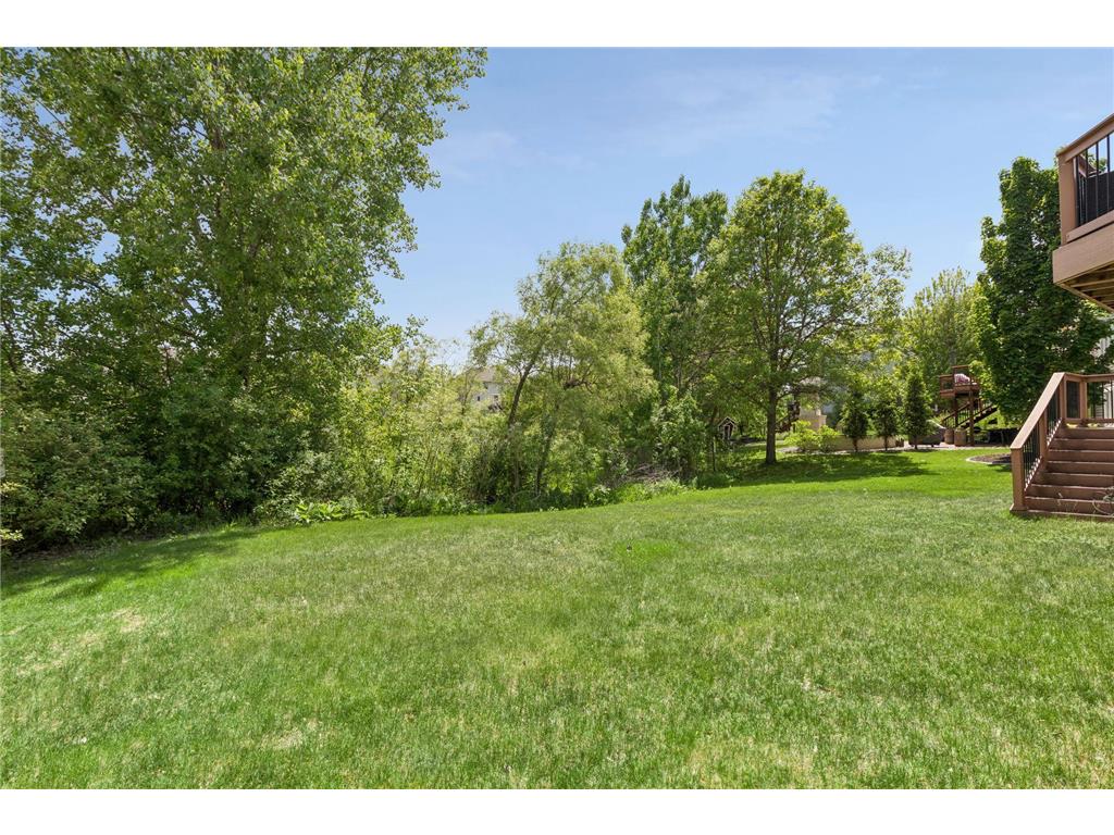 3742 Crosscliffe Path Rosemount MN 55068 7076783 image53