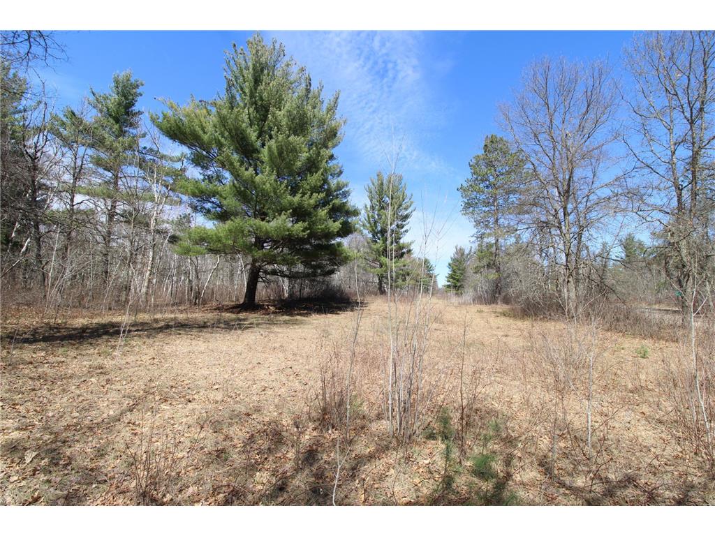 37441 Darsnek Road Fairfield Twp MN 56447 7059452 image11