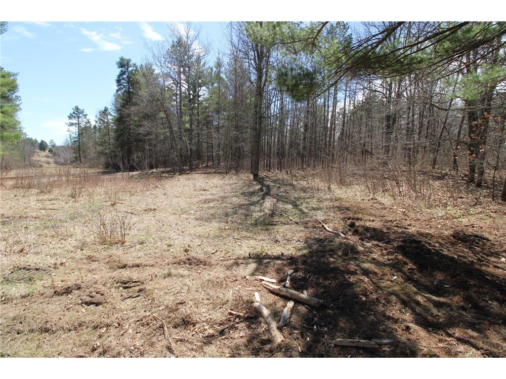 37441 Darsnek Road Fairfield Twp MN 56447 7059452 image12