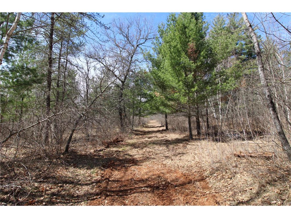 37441 Darsnek Road Fairfield Twp MN 56447 7059452 image13