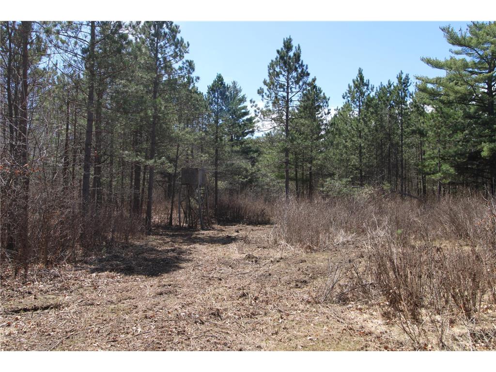 37441 Darsnek Road Fairfield Twp MN 56447 7059452 image15