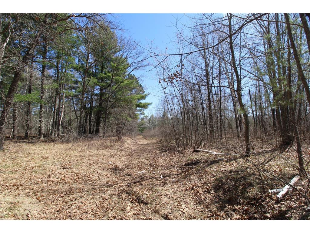 37441 Darsnek Road Fairfield Twp MN 56447 7059452 image16