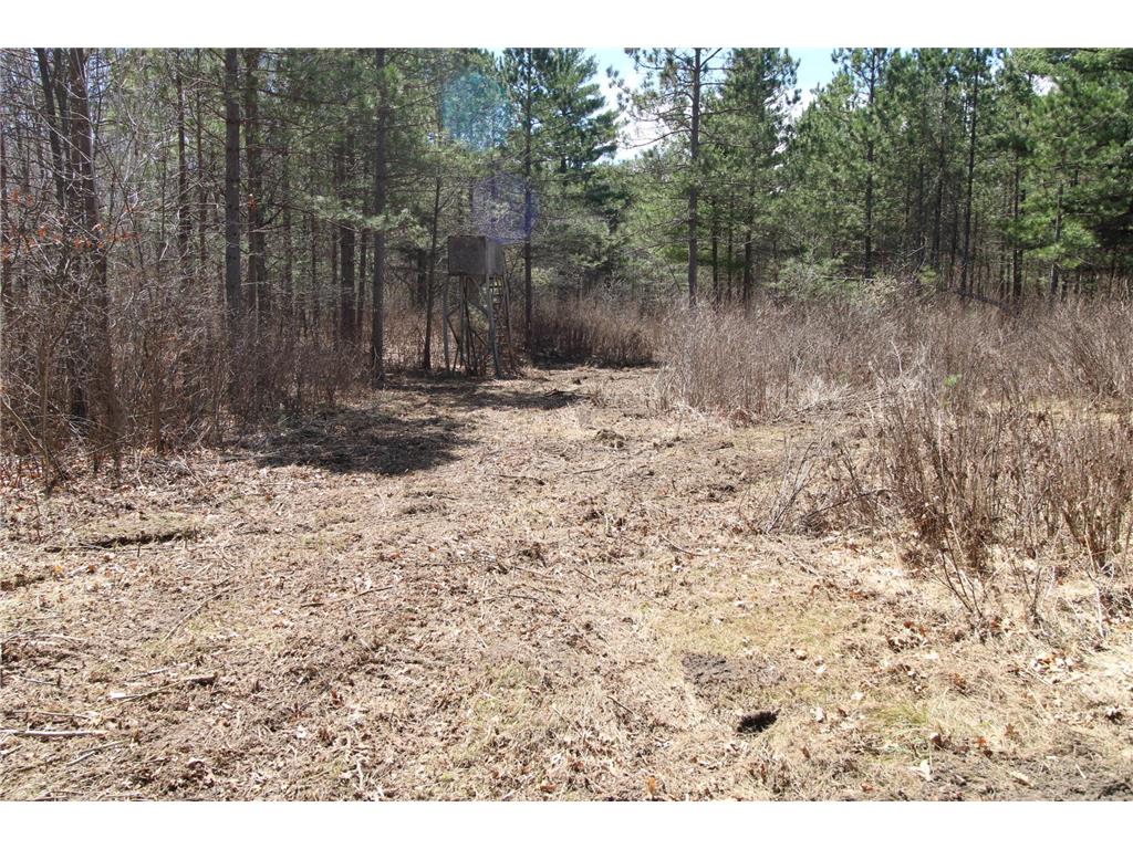 37441 Darsnek Road Fairfield Twp MN 56447 7059452 image2