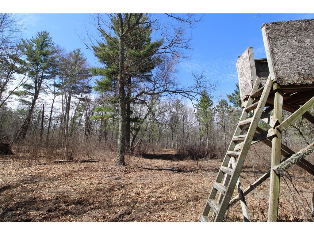 37441 Darsnek Road Fairfield Twp MN 56447 7059452 image3