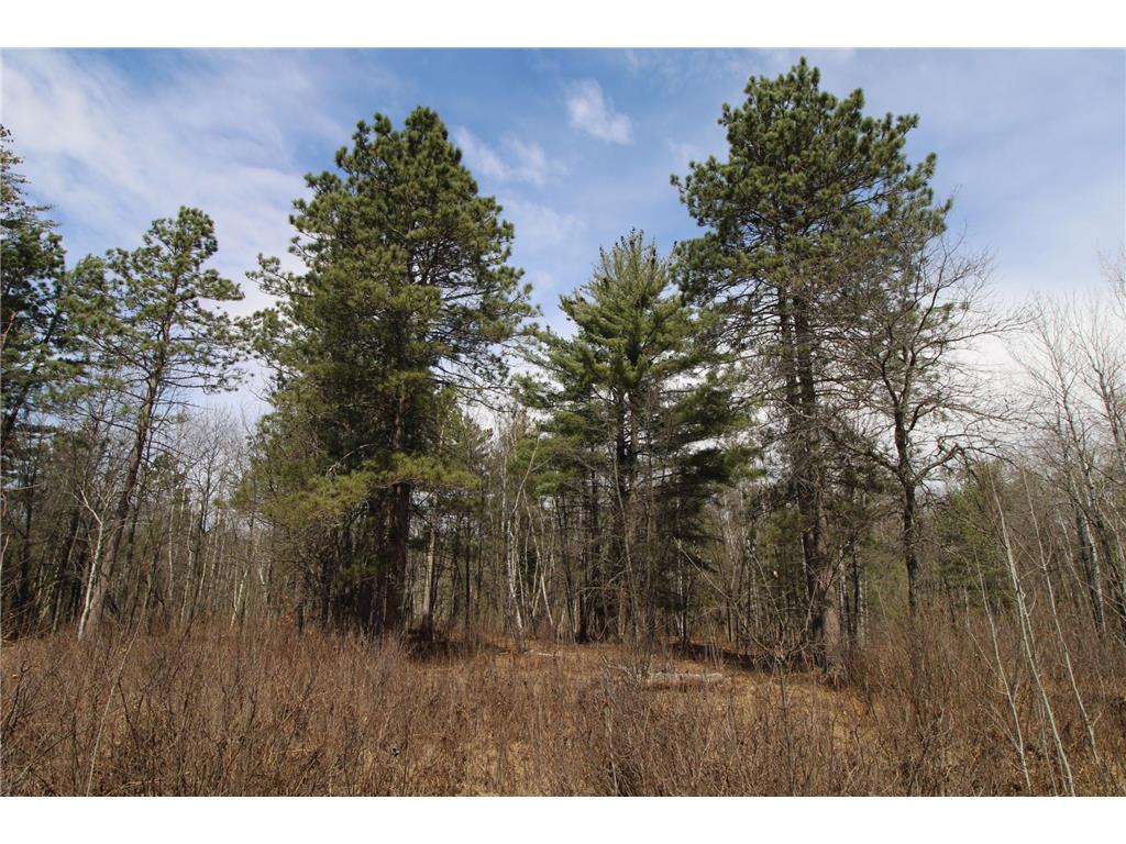 37441 Darsnek Road Fairfield Twp MN 56447 7059452 image4