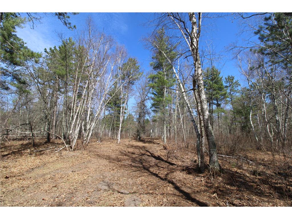 37441 Darsnek Road Fairfield Twp MN 56447 7059452 image6