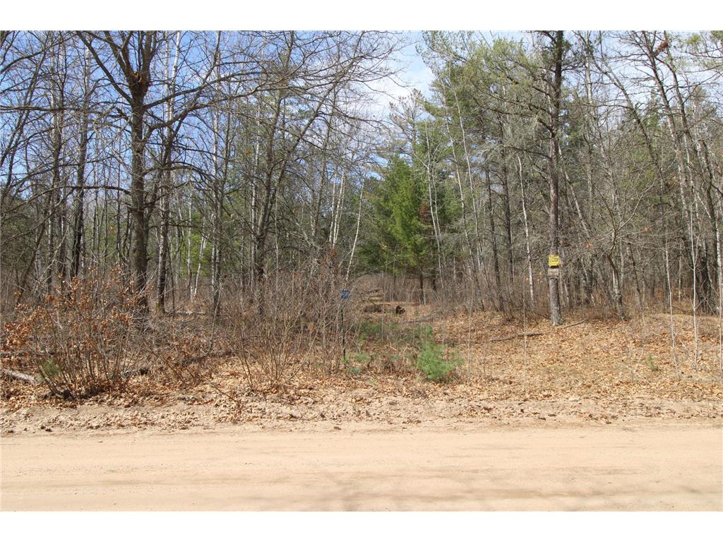 37441 Darsnek Road Fairfield Twp MN 56447 7059452 image7