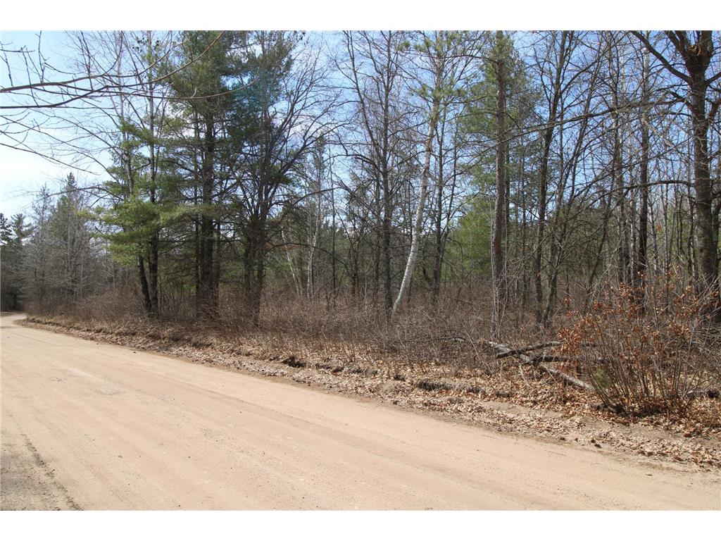 37441 Darsnek Road Fairfield Twp MN 56447 7059452 image8