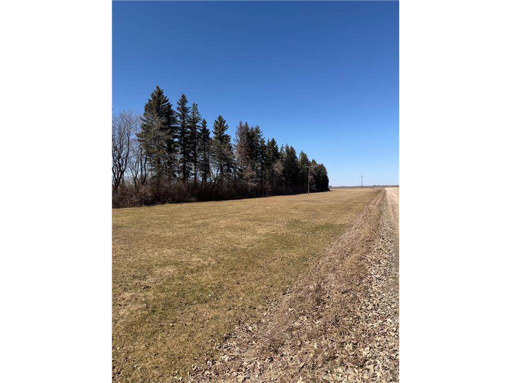 37488 320th Street Jadis Twp MN 56751 7066542 image39