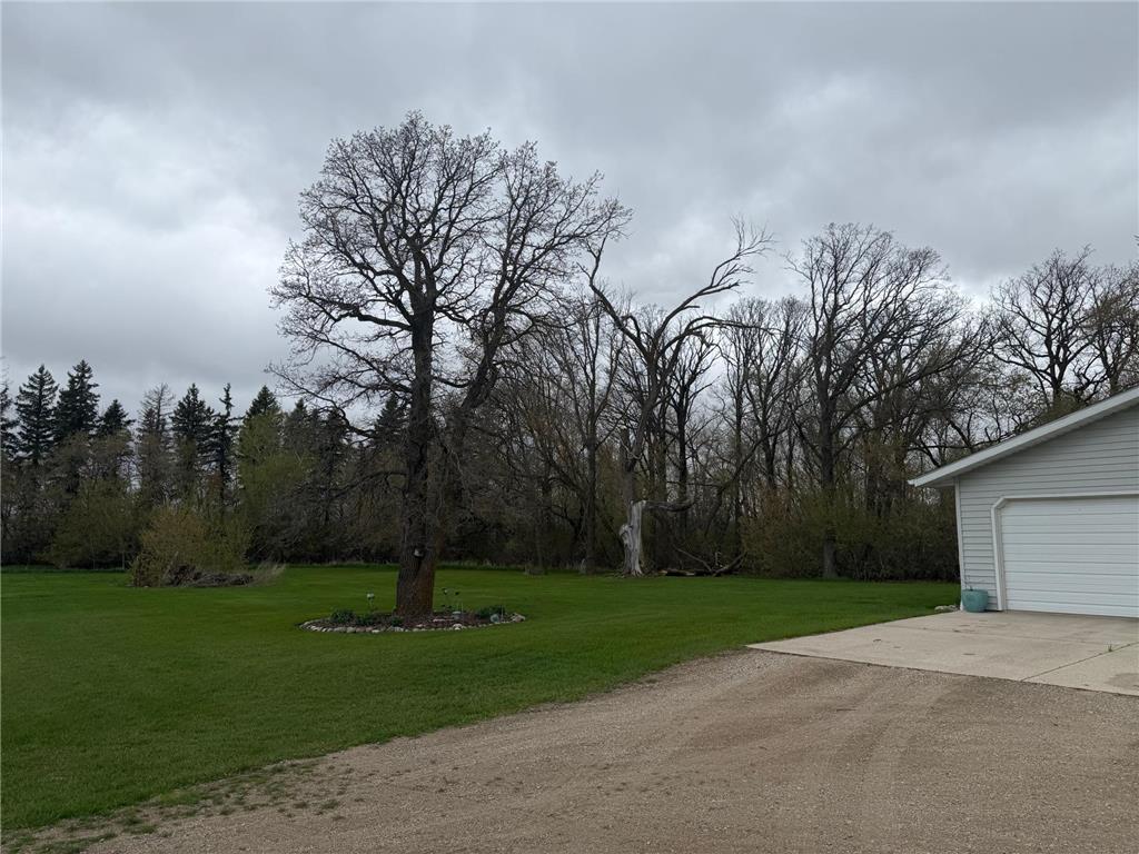 37488 320th Street Jadis Twp MN 56751 7066542 image8