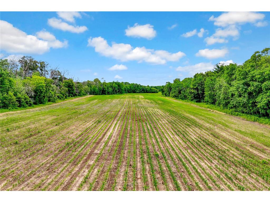 374XX-N40 Hemingway North Branch MN 55056 6793981 image10