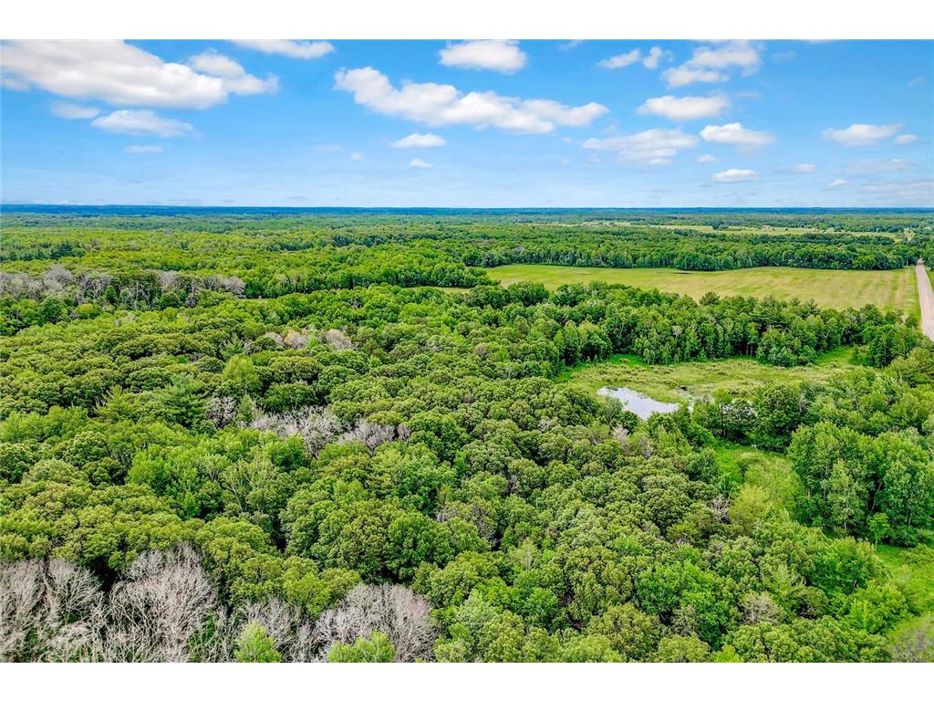 374XX-N40 Hemingway North Branch MN 55056 6793981 image13