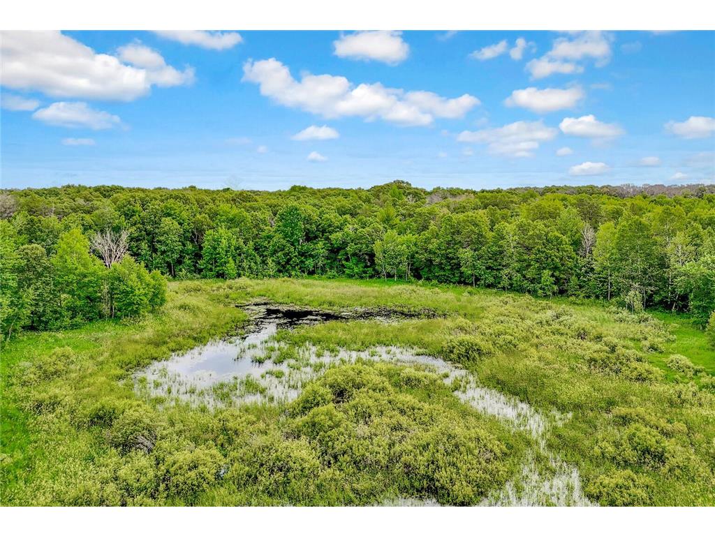 374XX-N40 Hemingway North Branch MN 55056 6793981 image14