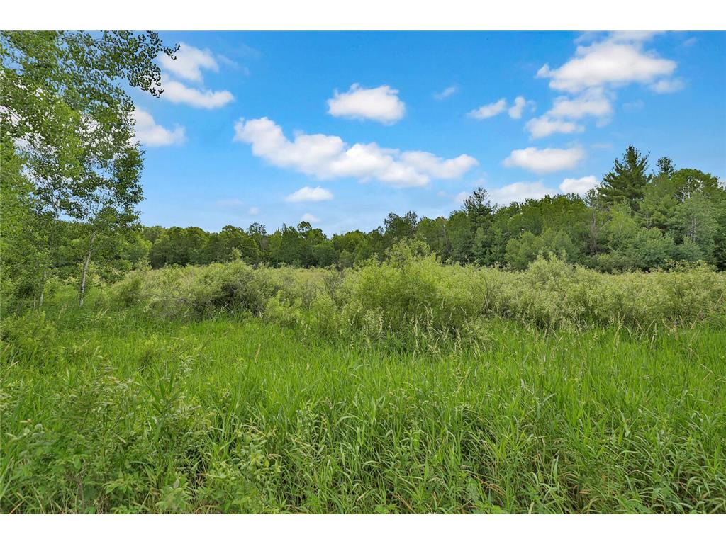 374XX-N40 Hemingway North Branch MN 55056 6793981 image3