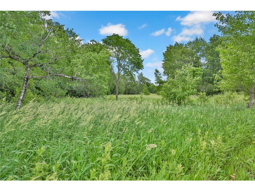 374XX-N40 Hemingway North Branch MN 55056 6793981 image4