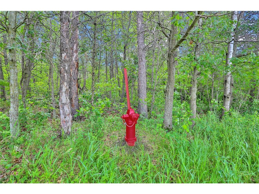 374XX-N40 Hemingway North Branch MN 55056 6793981 image5