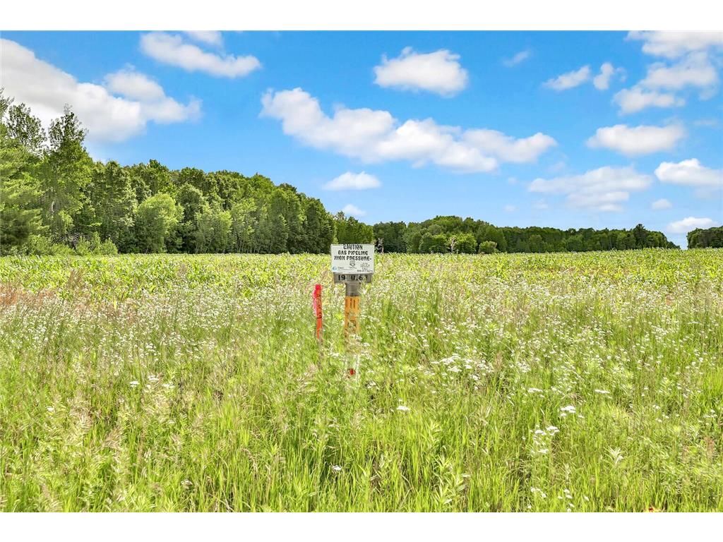 374XX-N40 Hemingway North Branch MN 55056 6793981 image6