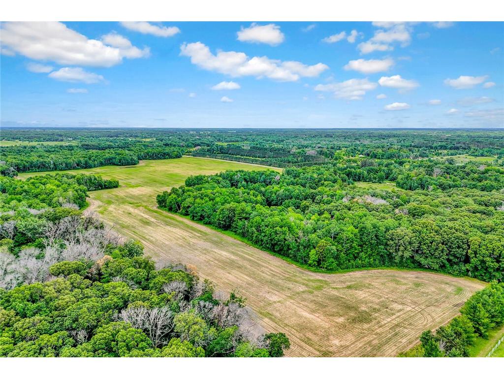 374XX-N40 Hemingway North Branch MN 55056 6793981 image9