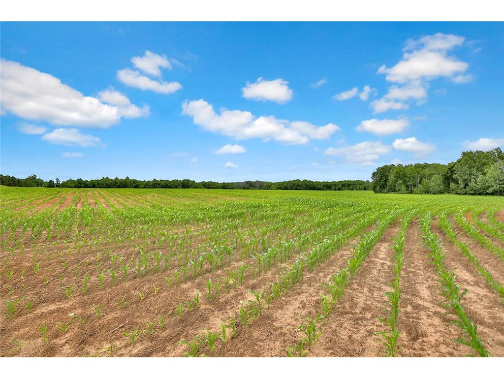 374XX-S40 Hemingway North Branch MN 55056 6786105 image1