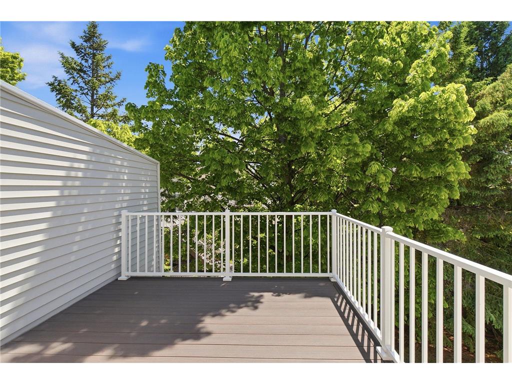375 Wagon Wheel Lane Chaska MN 55318 7079315 image11