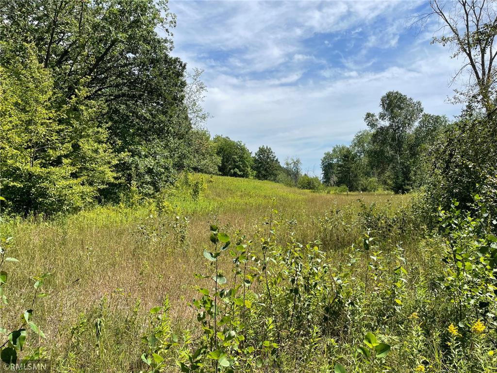 37500 Dove Street Spencer Twp MN 56431 6419327 image1