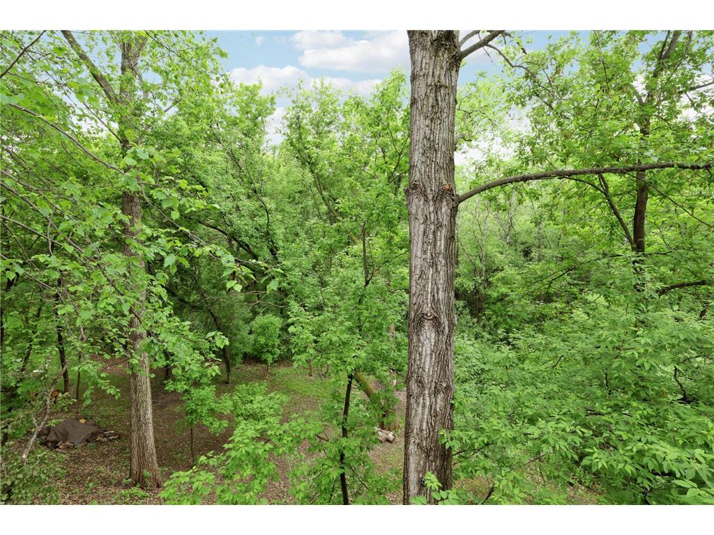 3757 Bayberry Lane Eagan MN 55123 7077714 image33