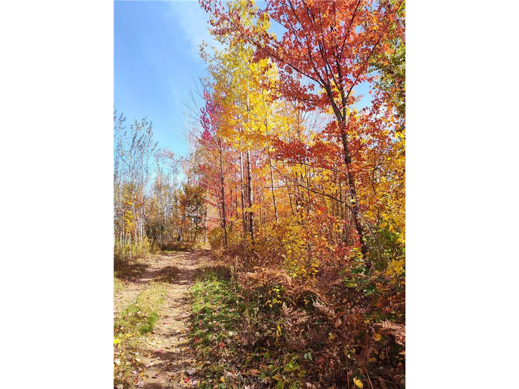 37590 Degerstrom Road Askov MN 55704 7072031 image39