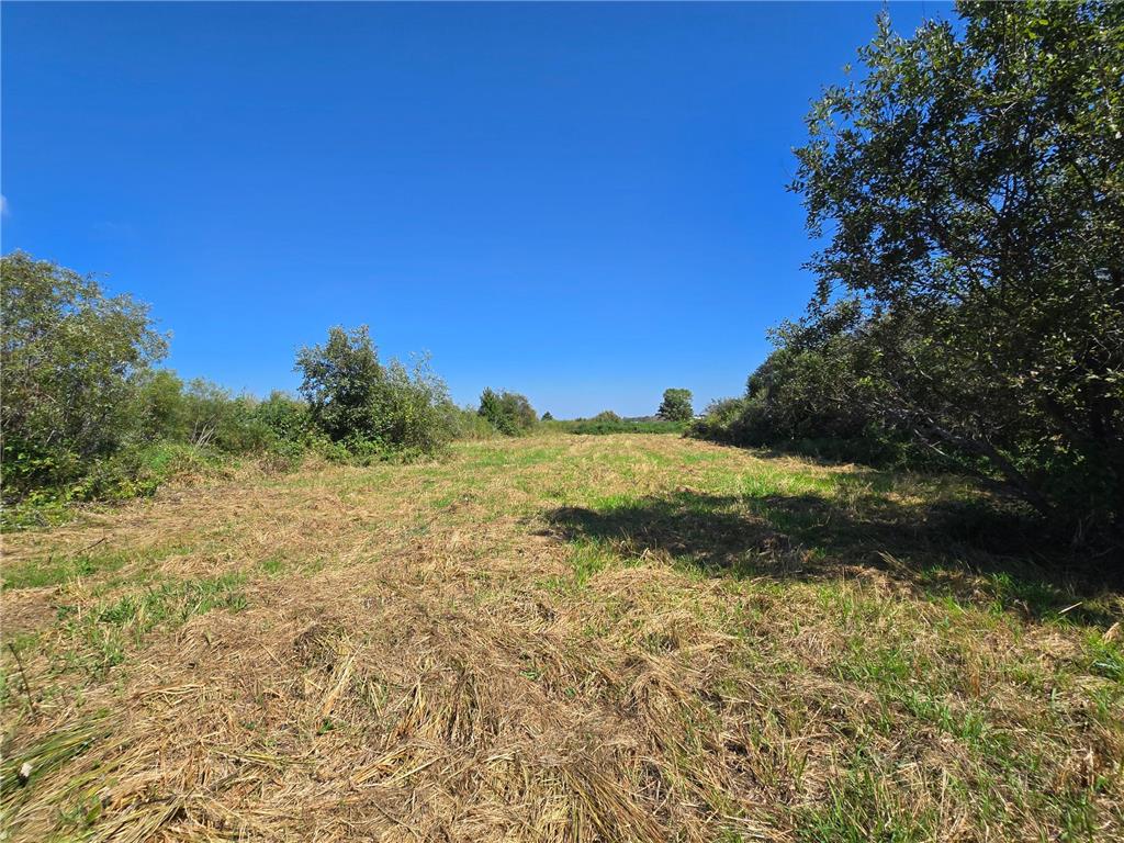 37597 246th Wealthwood Twp MN 56431 6791124 image10