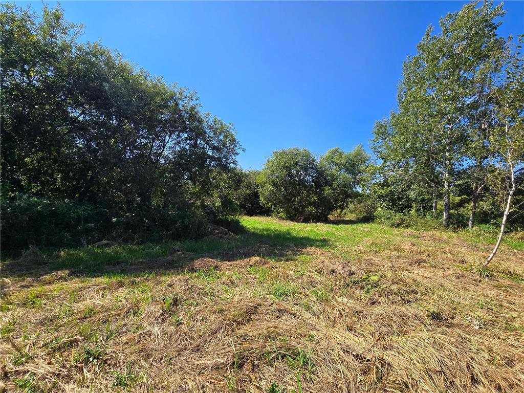 37597 246th Wealthwood Twp MN 56431 6791124 image12