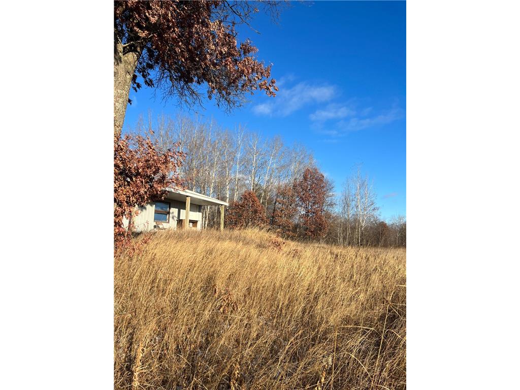 37649 Spruce Road, Hillman, MN, 56338 MLS 6473890 Edina Realty