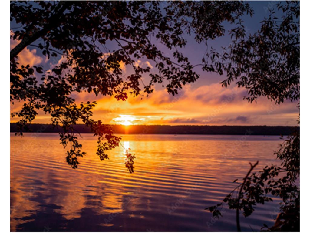 37670 Sugar Maple Lane Montgomery MN 56069 - Greenleaf 6380598 image1