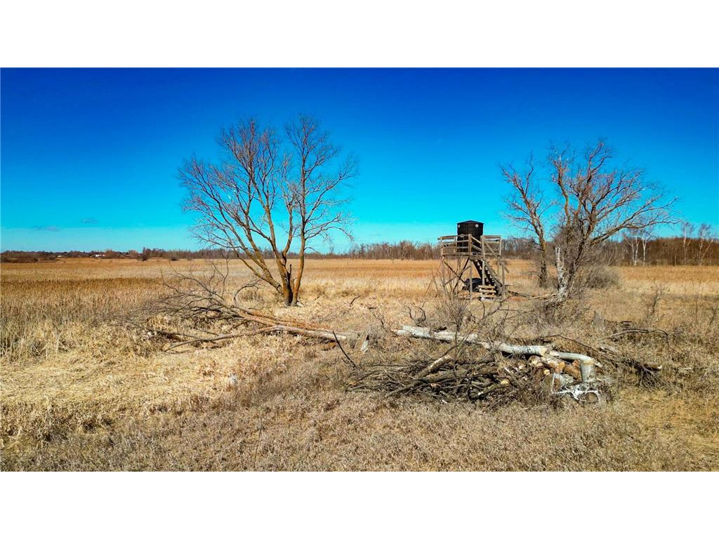 37675 395th Street Dent MN 56528 7010538 image13