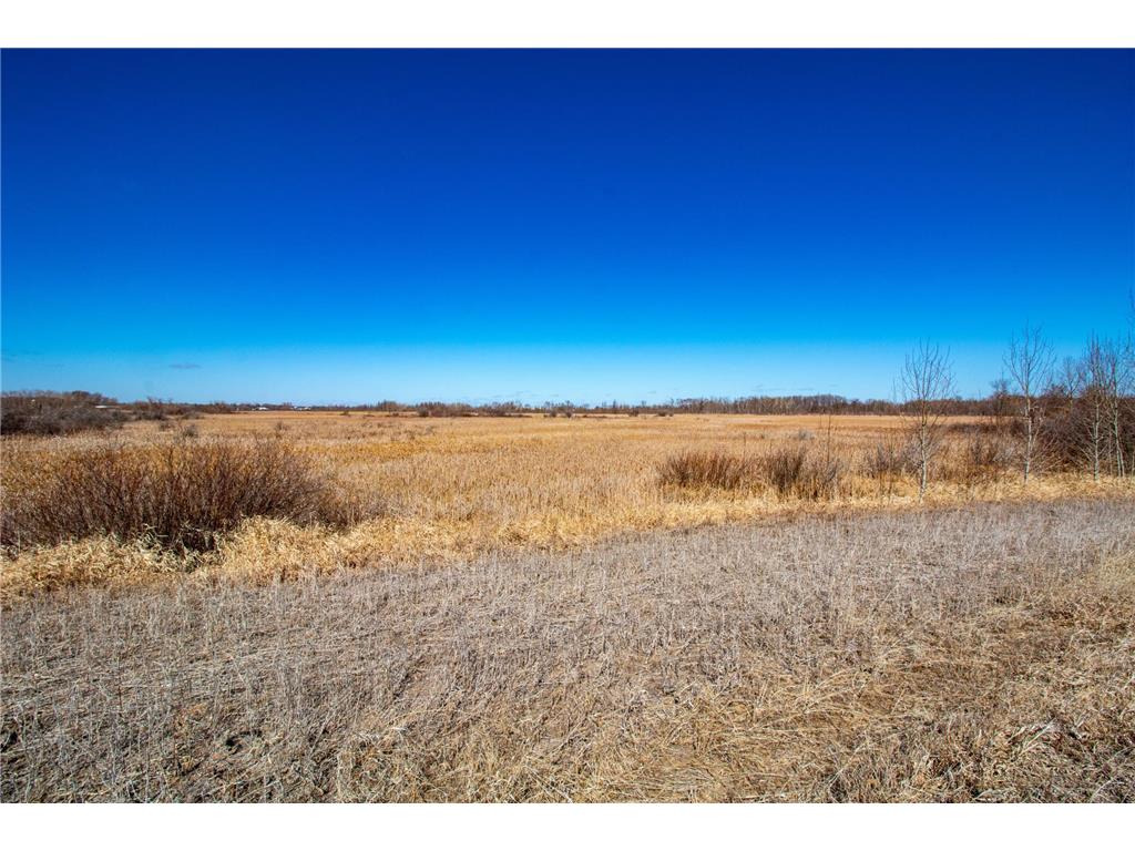 37675 395th Street Dent MN 56528 7010538 image2