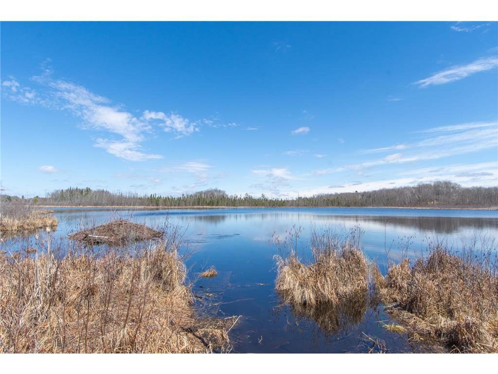 37760 Dove Street #14 Aitkin MN 56431 7053108 image66