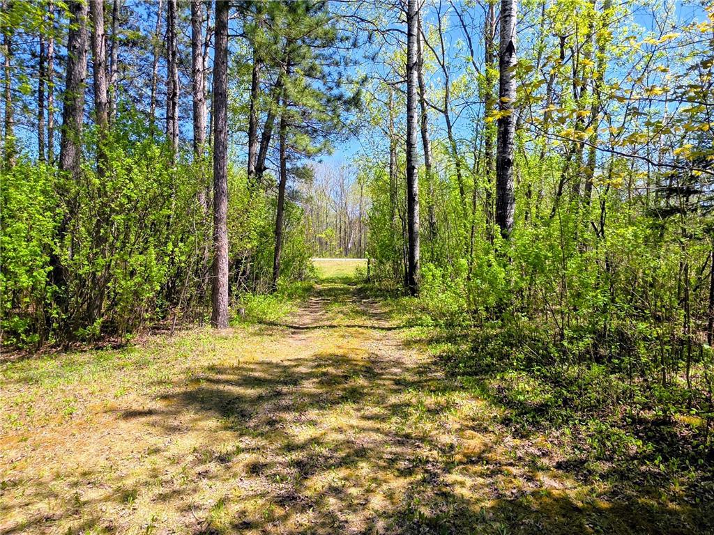 3781 County Road 10 Littlefork MN 56653 - Big Fork River 7082100 image17