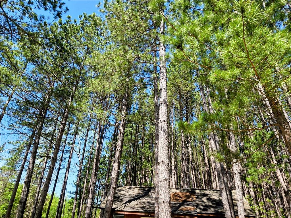 3781 County Road 10 Littlefork MN 56653 - Big Fork River 7082100 image19