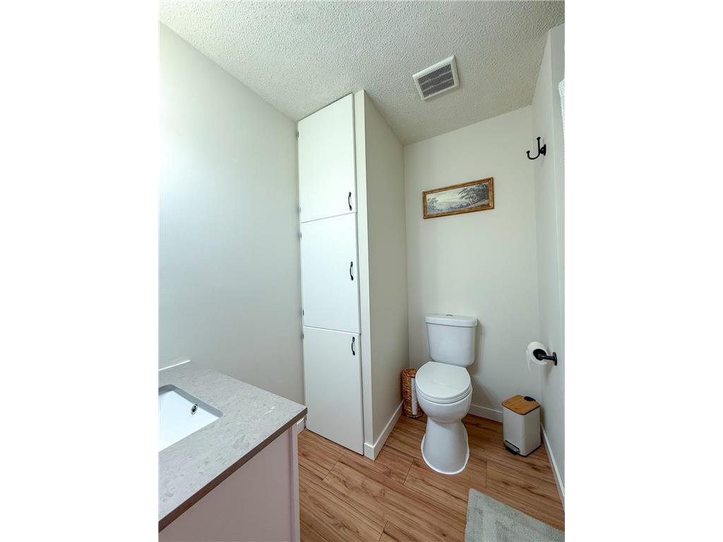 37815 County 8 Boulevard Belle Creek Twp MN 55027 7093595 image20
