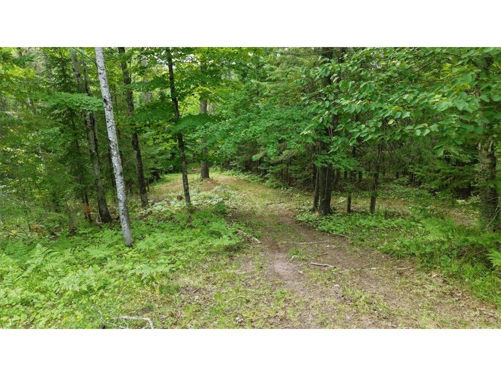 3785 S County Road D Lakeside Twp WI 54864 7115401 image10
