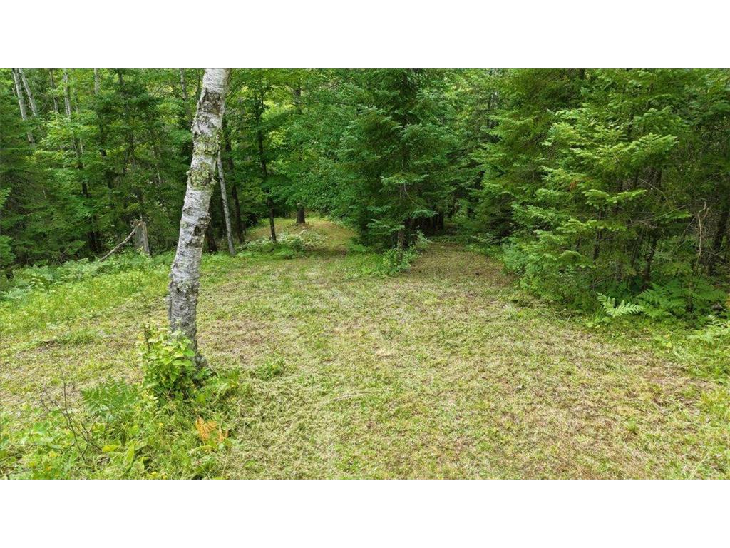 3785 S County Road D Lakeside Twp WI 54864 7115401 image8