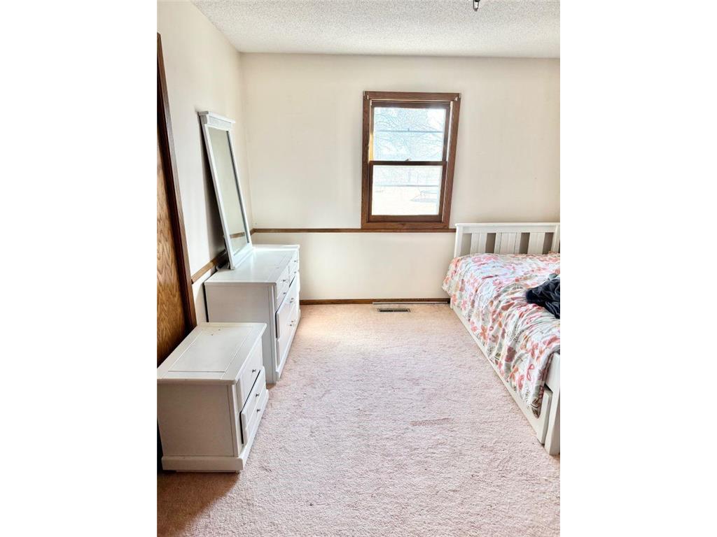 37852 161st Avenue Montgomery Twp MN 56069 6686371 image26