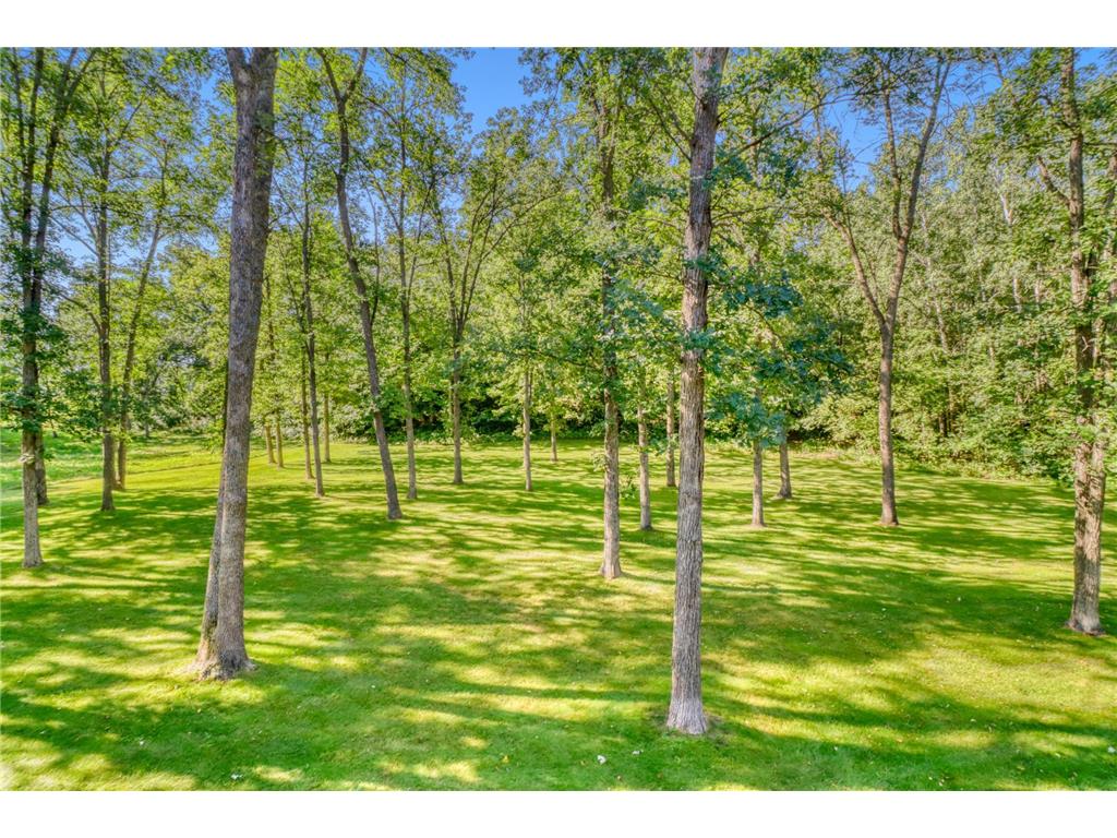 37895 SW Height Of Land Drive Height Of Land N Twp MN 56578 7041702 image36