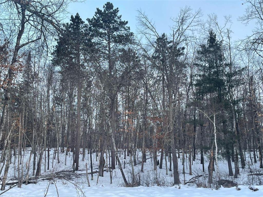 37898 Spruce Drive Sturgeon Lake MN 55783 - Sturgeon 7020538 image14