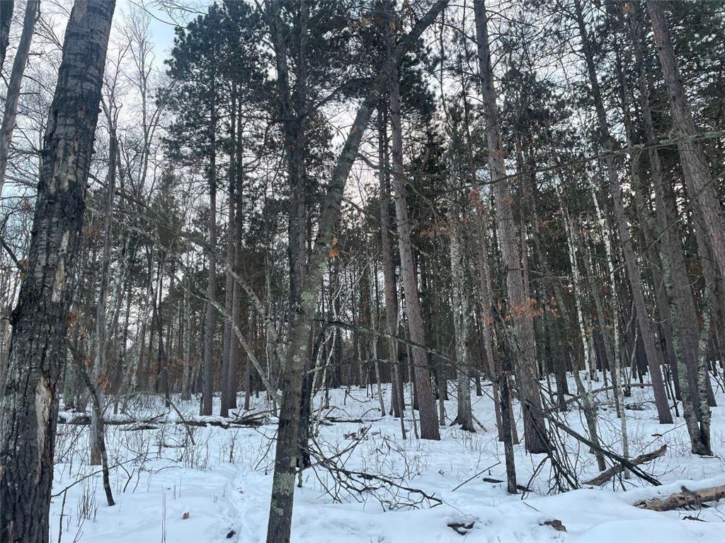 37898 Spruce Drive Sturgeon Lake MN 55783 - Sturgeon 7020538 image16