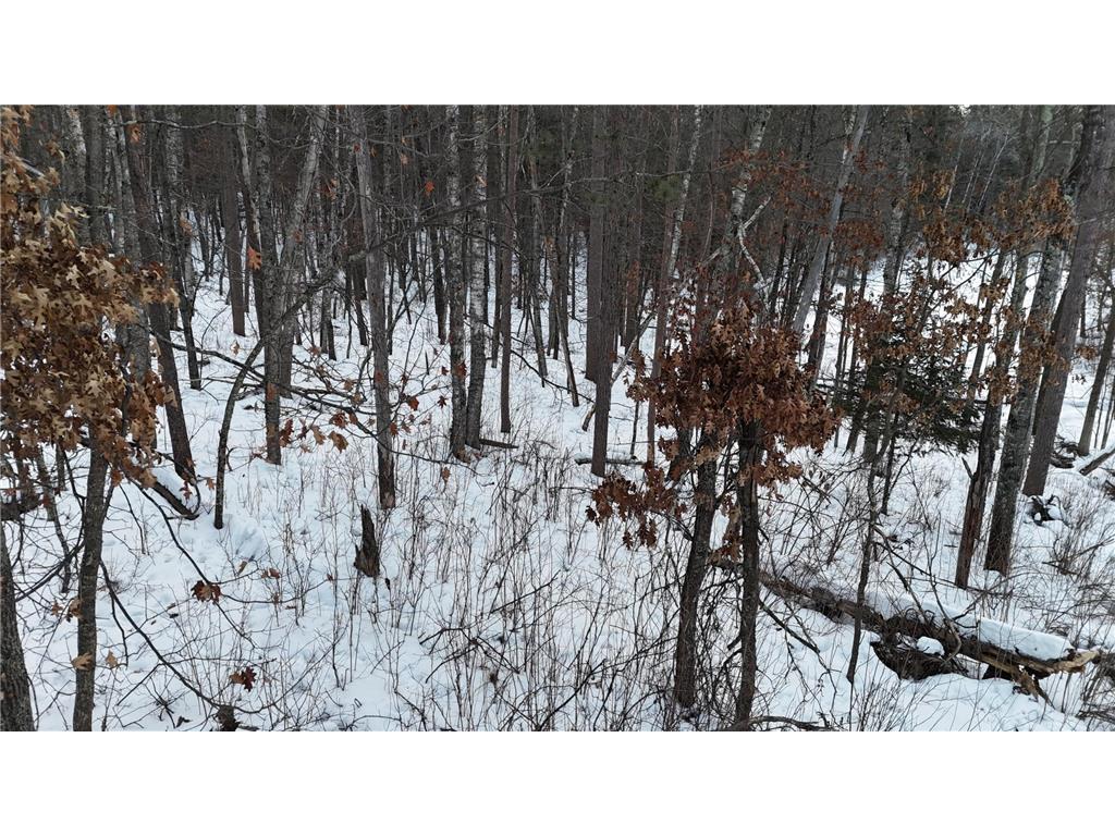 37898 Spruce Drive Sturgeon Lake MN 55783 - Sturgeon 7020538 image3